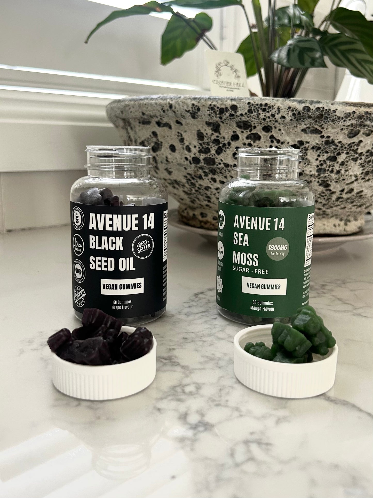 Glow + Grow Bundle